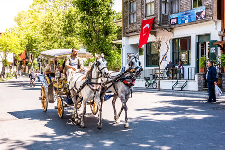 Coach or Horse carriage with tourists at Buyukada (meaning "Big Island" in English) or Prince Island.Buyuk ada is famous for beautiful streets and phaeton tour in Istanbul,Turkey.20 May 2017のeditorial素材