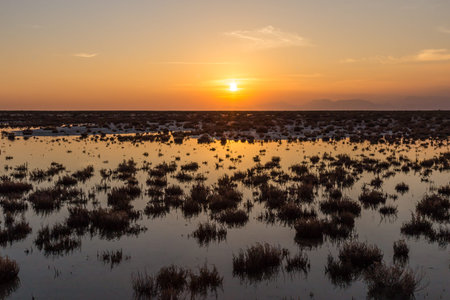 Golden natural small lake or pond sunset view of blue and orange sky landscape. Sunset or sunrise...