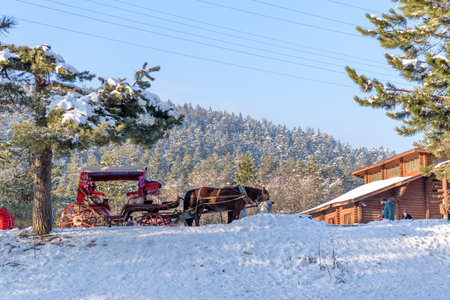 People visit and explore Abant lake in Golcuk National Park in Bolu,Turkey.27 January 2018のeditorial素材