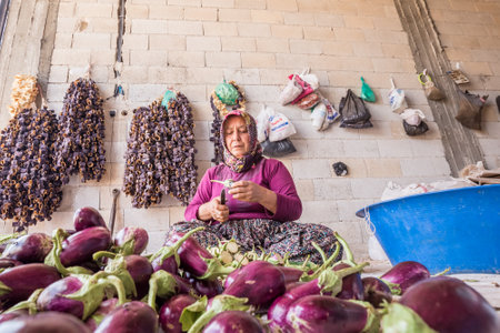 Unidentified woman cuts eggplants for drying process in the sun,Gaziantep,Turkey.03 September 2016のeditorial素材