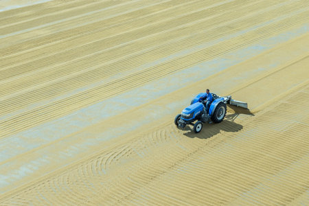 Worker spreads bulgur wheat on a field with conventional techniques for drying under the sun in...