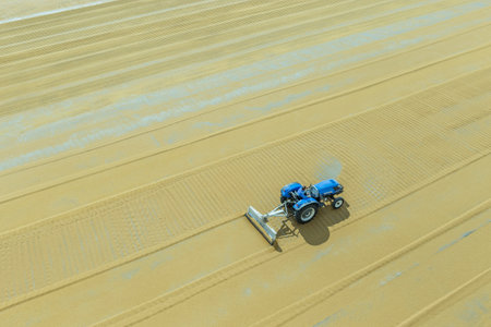 Worker spreads bulgur wheat on a field with conventional techniques for drying under the sun in Gaziantep,Turkey.03 September 2016のeditorial素材