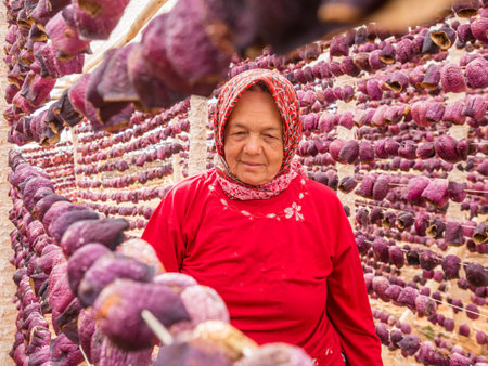 Unidentified woman hangs eggplants for drying process in the sun,Gaziantep,Turkey.03 September 2016のeditorial素材