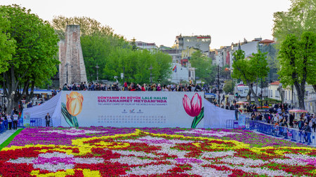21 April 2018:- Unidentified people take pictures of Largest Carpet of Tulips of the World in Sultanahmet for tulip festival in Istanbul,Turkey.のeditorial素材