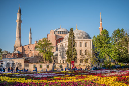 View of Hagia Sophia and Largest Carpet of Tulips of the World in Sultanahmet for tulip festival in Istanbul,Turkey.21 April 2018のeditorial素材