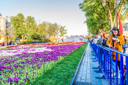 Unidentified people take pictures of Largest Carpet of Tulips of the World in Sultanahmet for tulip festival in Istanbul,Turkey.21 April 2018のeditorial素材