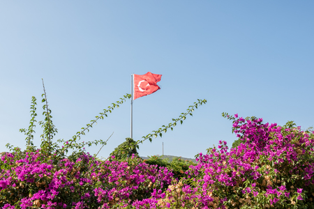 With blue sky,Turkish flag waves on the top of Castle of St. Peter or Bodrum Castle, and flower on the foreground.の写真素材