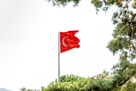 With blue sky,Turkish flag waves on the top of Castle of St. Peter or Bodrum Castle, and tree on the foreground.の写真素材