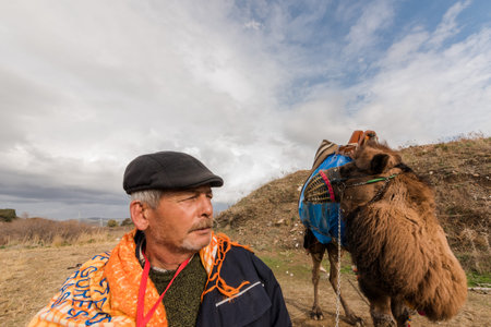 A Turkish man dressed in local clothes posing in front  of camel that got prepared and dressed for Traditional  Camel wrestling in Selcuk Arena.Turkey,January 16, 2017 のeditorial素材