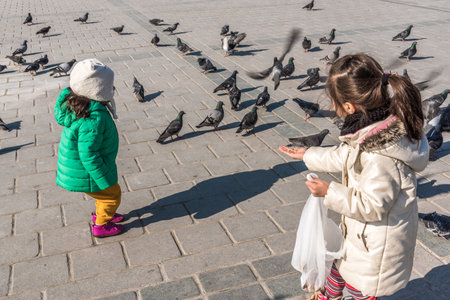 ISTANBUL/TURKEY- DECEMBER 24,2016: Unidentified children feed pigeons in The New Mosque (Yeni Camii). The New Mosque is an Ottoman imperial mosque completed in 1665, located in Istanbul, Turkey.のeditorial素材