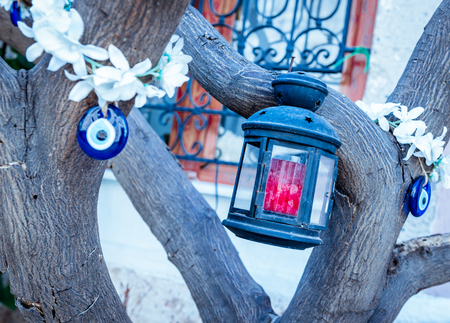 Sea lantern and evil eye beard hang on a tree for decoration.の写真素材