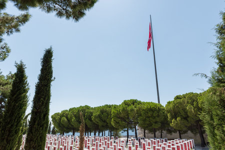 Canakkale Martyrs Memorial military cemetery is a war memorial commemorating the service of about Turkish soldiers who participated at the Battle of Gallipoli.のeditorial素材