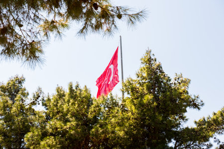 Turkish flag at Canakkale Martyrs Memorial military cemetery that is a war memorial commemorating the service of about Turkish soldiers who participated at the Battle of Gallipoli.のeditorial素材