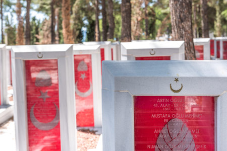 Canakkale Martyrs Memorial military cemetery is a war memorial commemorating the service of about...