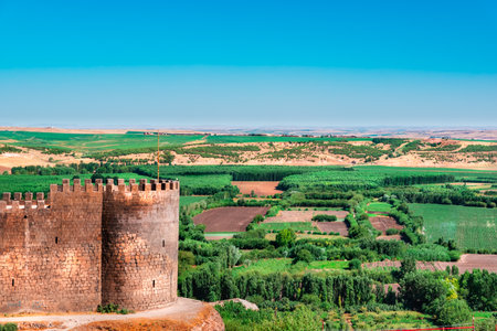 View of Keci Burcu(Goat Tower) and Hevsel Bahceleri(Gardens) in sur region in central of Diyarbakir,Turkey.のeditorial素材