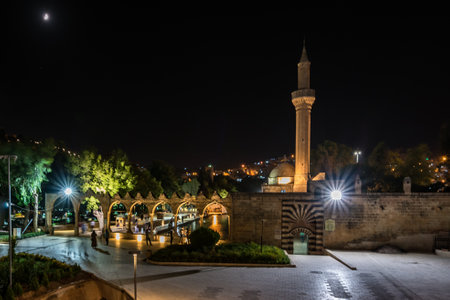 Landmarks of Sanliurfa city such as Fish lake and Rizvaniye mosque in Golbasi Park,Sanliurfa.Turkey.19 July 2018のeditorial素材
