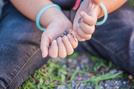 Close view of little girl hands while playing on ground with soul or small stones.の写真素材