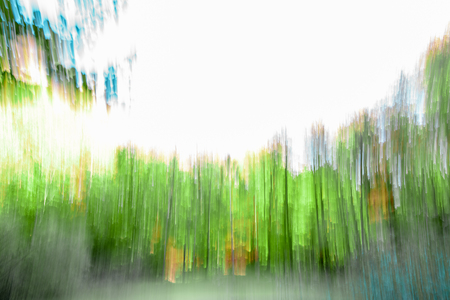 Long exposure or slow shutter speed photography of trees in forest creating a moody backgroundの写真素材