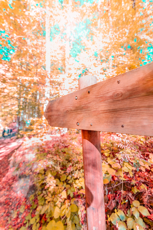 Arrow shaped wooden signboard in Yedigoller Nature Park,located in Bolu,Turkey with walking people on background.の写真素材