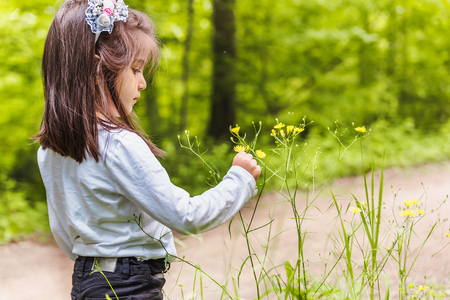 Adorable four years old cute little girl picks wild flower at meadow in a sunny dayの写真素材