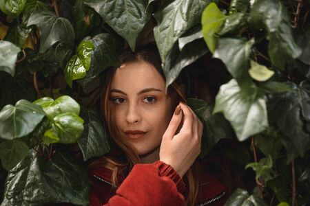 Portrait of beautiful attractive young girl stands among green leaves and looks at cameraの写真素材