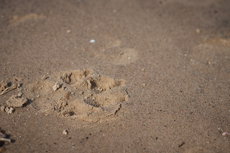 Closeup of sand pattern of a beach .の写真素材