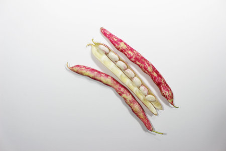 Roman Beans on isolated white backgrounds