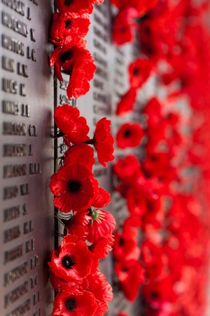 Australia War Memorial Red Poppy Flowerのeditorial素材