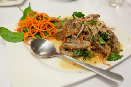 Thai Duck Salad Plate with Sauceの写真素材