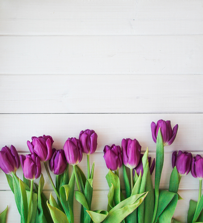 many purple tulips on wooden tableの写真素材