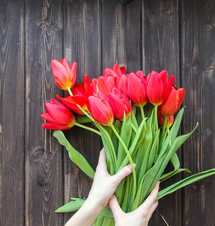 bouquet of red tulips on a dark wooden tableの写真素材