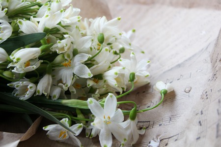 first fresh spring flowers are white bells bouquet wrapped in paperの写真素材