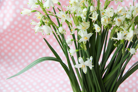 first fresh spring flowers are white bells bouquet wrapped in paperの写真素材