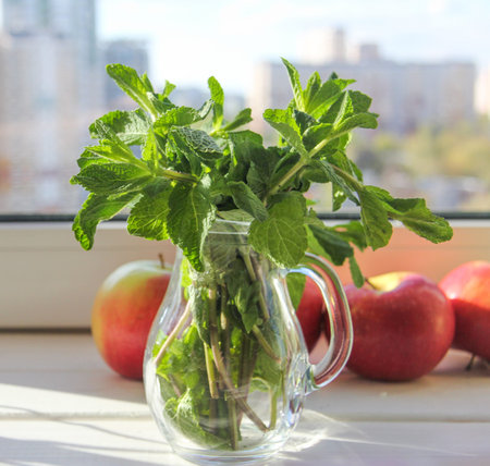 fresh mint in glass jug and apple on the table in the sunlight in the morning