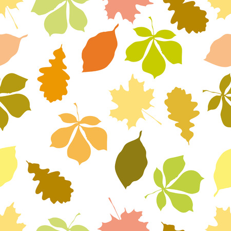 Seamless pattern with autumn motifs. The leaves of different trees on a white background.のイラスト素材
