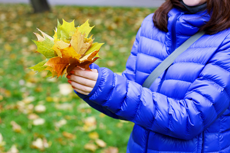 Image of hands girl in a blue jacket. that keeps assembled bouquet of maple leaves. Blurry, fuzzy, abstraktnaya background.の写真素材