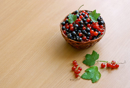 Red and black currants collected in a small wicker basket. The basket stands on a wooden surface....