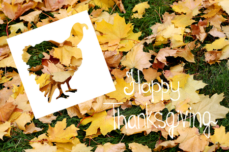 Greeting card Thanksgiving. On the background of fallen leaves-cut silhouette of a Turkey and words.の写真素材