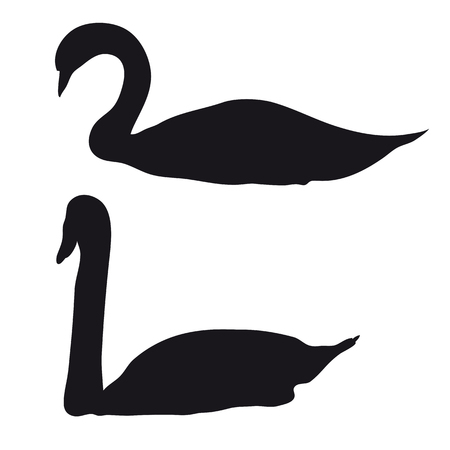 Black silhouettes of two large swans on a white background.のイラスト素材