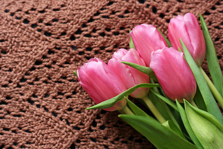 A bouquet of tulips, which lies on a brown knitted ladies shawls.の写真素材