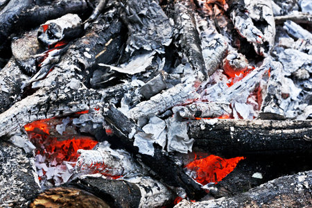 Fireplace. The remains of the fire: coals, ashes, embers, twigs, the charred sticks.