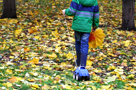 Autumn walks in the fresh air. The boy in the green jacket, boots, standing in the road, covered with leaves, pulls a toy car and is a hand bouquet of yellow leaves.の写真素材