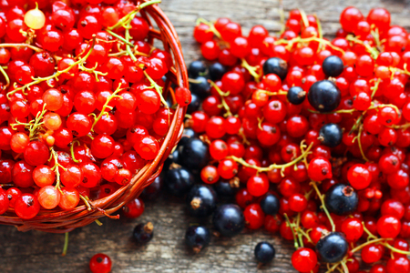 Currant. Berries of black and red currants lie on the wooden surface.の写真素材