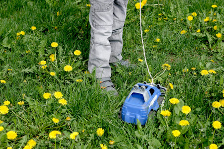 The image of a child dressed in gray pants and a sweatshirt. The child playing among the thick green...