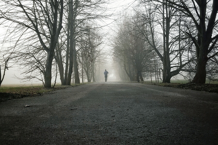 One person running through the forest in the fogの写真素材