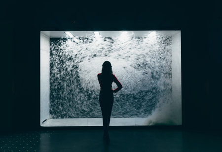 silhouette of a girl in the abstract light and abstract pattern
