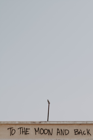 To the moon pigeon writing on the wallの写真素材