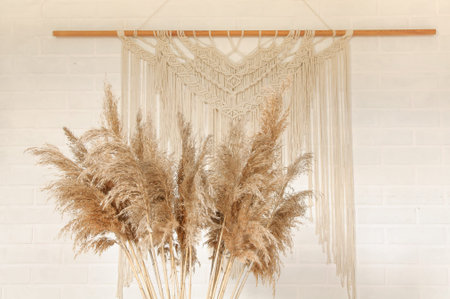 Beige reed against a white wall with a macrame wall panel. A minimal, stylish, trendy concept with a...