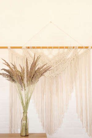 Beige reed against a white wall with a macrame wall panel. A minimal, stylish, trendy concept with a beautiful background with light neutral colors.の写真素材