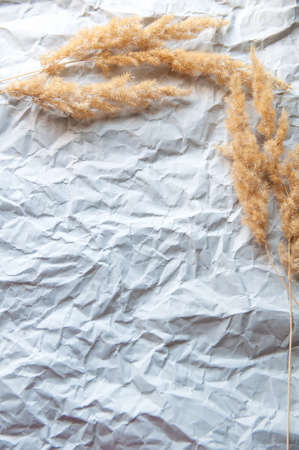 dried flowers lie on gray crumpled paper backgroundの写真素材